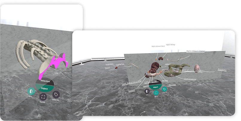 dementia_reality_app_modules